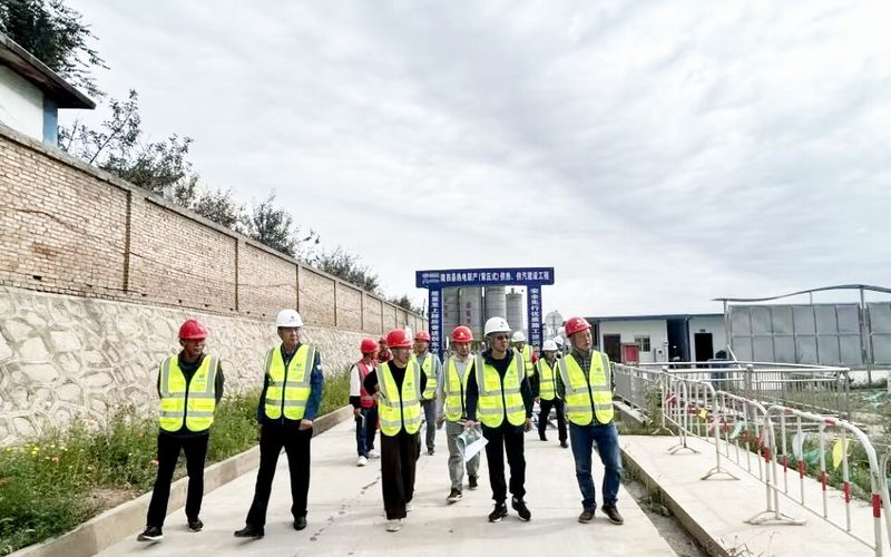 調(diào)研指導(dǎo)強信心  蓄勢待發(fā)新征程——汪輝德一行赴隴西項目調(diào)研指導(dǎo)工作并講授黨課