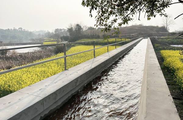 不誤農時助春耕——都江堰灌區“十四五”續建配套與現代化改造工程施工第六標段各渠道順利通水