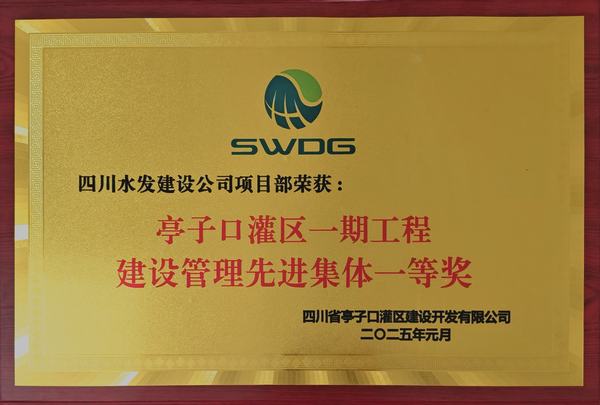 新歲奮楫,篤行不怠 公司榮獲亭子口項目業主表彰